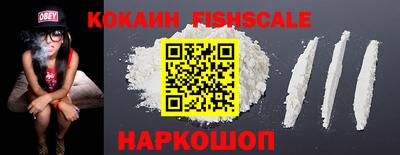спиды Сланцы