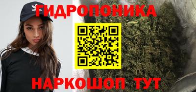 спиды Сланцы