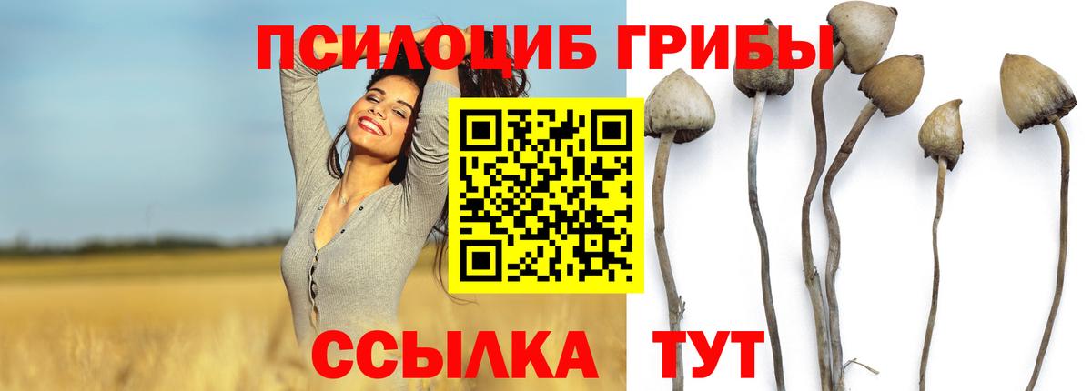 Псилоцибиновые грибы прущие грибы Одинцово